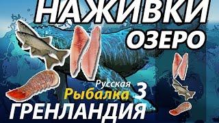 Наживки Озеро / РР3 [Русская Рыбалка 3 Гренландия]