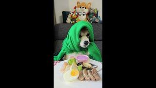 Cui Hua Immersive Eating Western Food ~# Snack Conference for Greedy Puppies# Adoration Plan# Too F