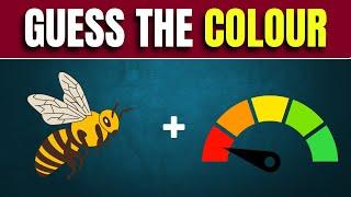 Can You Guess The Color By Images? || Amazing Color Quiz