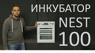 Инкубатор на 100 яиц / NEST-100