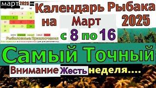 Лунный календарь клева рыбы на Март 2025 Прогноз клева на эту неделю с 8 по 16 марта