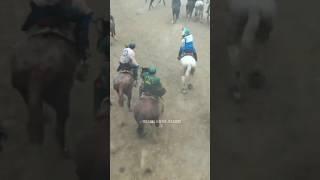 Раҳимбердӣ полвон #buzkashi #uloq #kupkari #tajikistan #uzbekistan #kokpar #tashkent #dushanbe #tjk