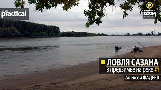 Ловля сазана в предзимье на реке. Алексей Фадеев. Часть 1. Anglers Practical