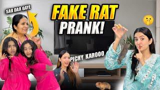 Fake rat in washing machine prank | mama ka scary reaction** Must watch** | Hira Faisal |Sistrology