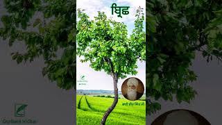 ਬ੍ਰਿਛ (Brich) Bhai Veer Singh Ji