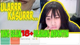 MEMBASMI ULAR KASUR - OME TV 18++++ #Part3