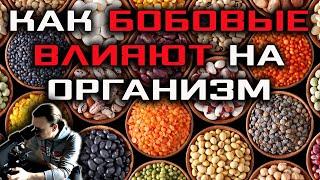 Как бобовые влияют на организм | Кровь после фасоли | Веганство, вегетарианство