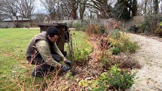 Autumn Tidying Borders in this Big Backyard