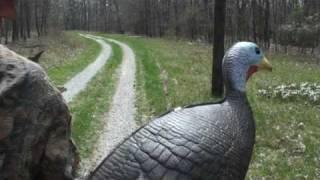 Devin Haertling Turkey #3