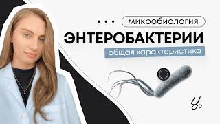 Микробиология | Общая характеристика энтеробактерий