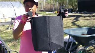 Planting WATERMELON In GROW BAGS ~ 2021