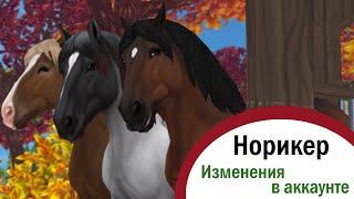 Star Stable Online | Норикер | Изменения в аккаунте