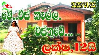 ලක්ෂ,12 ට අලුත් නිවසක් / 2025 house for sale in srilanka / gewal idam / home / Land