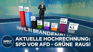 LANDTAGSWAHL IN BRANDENBURG - AKTUELLE HOCHRECHNUNG: SPD vor AFD, BSW vor CDU, GRÜNE & BVB/FW raus!