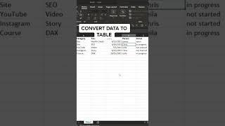 Data Entry Form in Excel with ZERO effort! via leilagharani tiktok