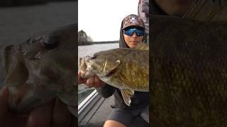 Largemouth OR Smallmouth Bass?!