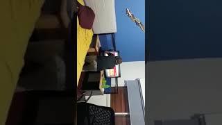 Nooo Boludo