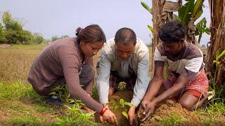 Rachhya's Story (Why this inspiring woman is planting millions of trees in Nepal) | Update