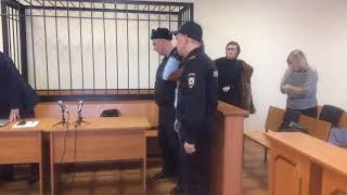 В Саранске Алену Косолапову приговорили к 4,5 годам неволи