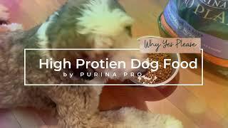 PURINA PRO PLAN High Energy Dog Food Review