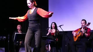 FARRUCA dance Music by Murat Köseler #flamenco #farruca #flamencoguitarist