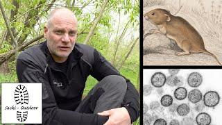 Hantavirus - Die unsichtbare Gefahr im Wald!