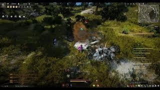 BDO - Lifeskill - Rough Stone Farming