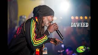 DAWEED  ARMAGUEDON RIDDIM 2023 EN PEPA RÉTÉ LA