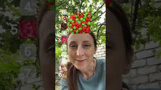 ვირჩევ ჟელიბონებს #ვლოგი #ქართულად #sub #30k #foryou #vlog