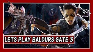 Baldurs Gate 3 Lets Play #001 [Druide] Deutsch | SaltyP3ngu