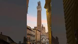 Beautiful Piazza del Campo in Siena at sunset #tuscany #italytravel #siena