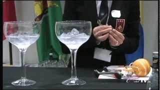Gin Tonic 8/8.