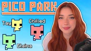 I Played Pico Park And It's 1000% More Chaotic With Chilled