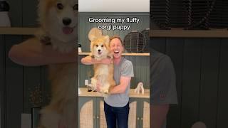 Grooming my fluffy puppy!