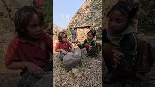 #himalayanlife