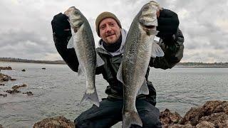 WHITE LURES FOR THE WIN! | LURE FISHING FOR BASS | THEY JUST KEPT COMING