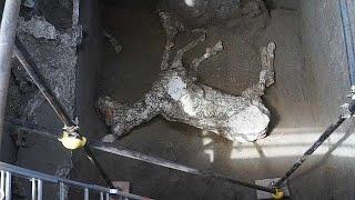 Pompeii'de binlerce yıllık taşlaşmış bir at bulundu
