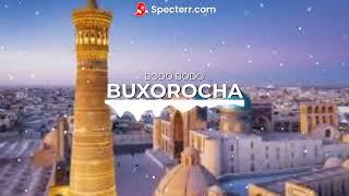 Buxorocha To'ybop qo'shiqlar
