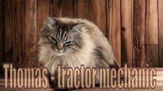 Thomas the Tractorist: Kitty in the Fields #cat #cats #catvideos