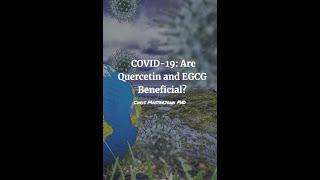 COVID-19: Are Quercetin and EGCG Beneficial?