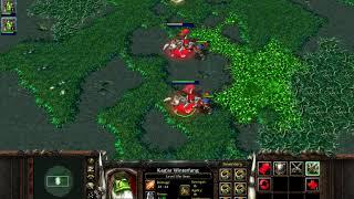 Warcraft III - does Chaos Damage ignore Armor?