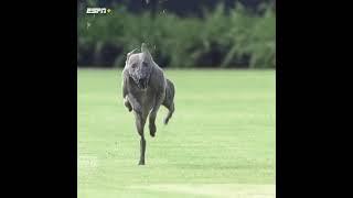 Winston was MOVIN' 