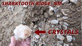 Shark Tooth Ridge and Calcite - Dec 20, 2023