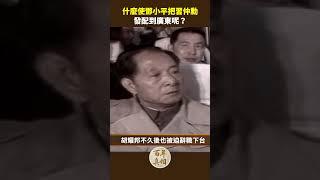 什麼使鄧小平把習仲勳 發配到廣東呢？｜ #百年真相