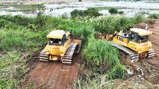 The Ultimate Land Clearing Brush And Cutting Leveling Land By SHANTUI Bulldozer Skills operator