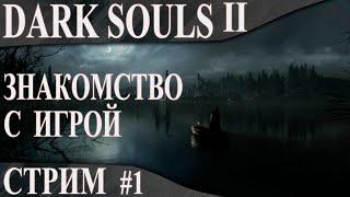 Dark Souls II стрим: Начало / Scholar of the first sin