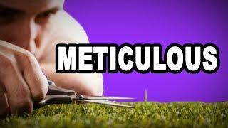 Learn English Words: METICULOUS - Meaning, Vocabulary with Pictures and Examples