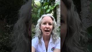 What is community acupuncture?