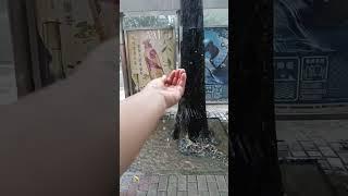 HEAVY RAIN #edm #trending #rain #shortvideos #ytshorts
