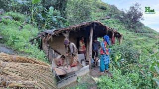 This is Himalayan Nepali Village Lifestyle | Organic Food Cooking in Countryside | Winter Rainy Day